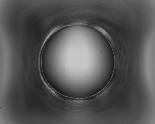 X0000086301431200704131600