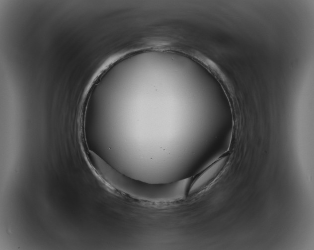 X0000086301432200704131600