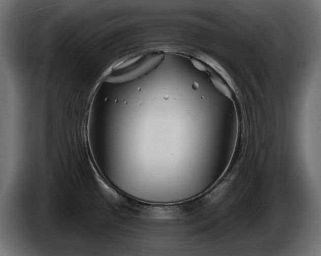 X0000086301433200704131600