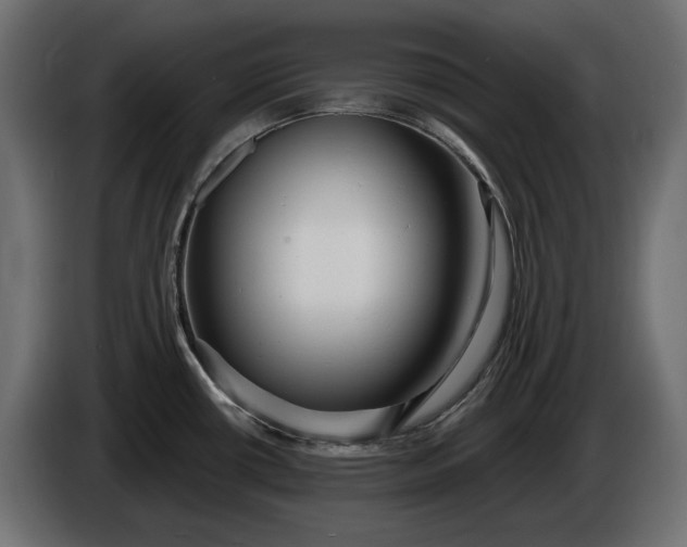 X0000086301434200704131600