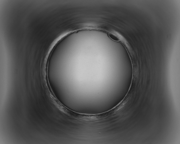 X0000086301435200704131600