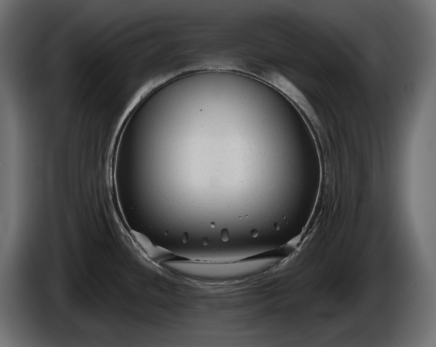 X0000086301436200704131600