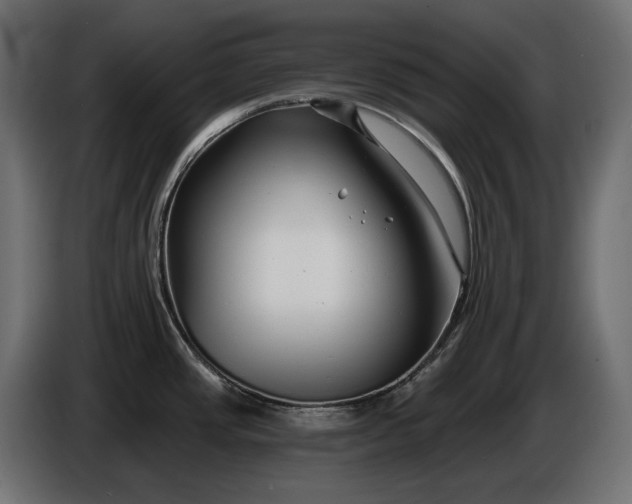 X0000086301437200704131600