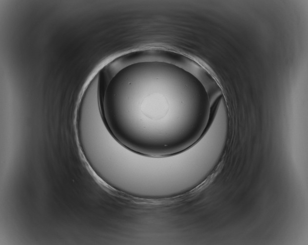 X0000086301438200704131600