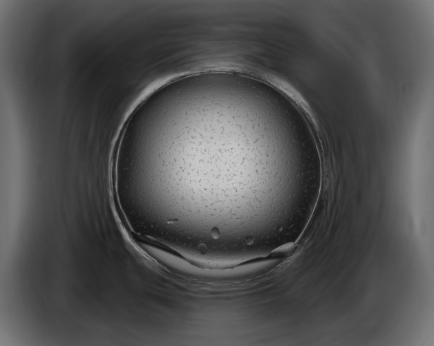 X0000086301439200704131600