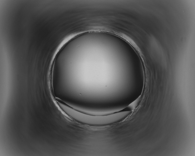 X0000086301440200704131600