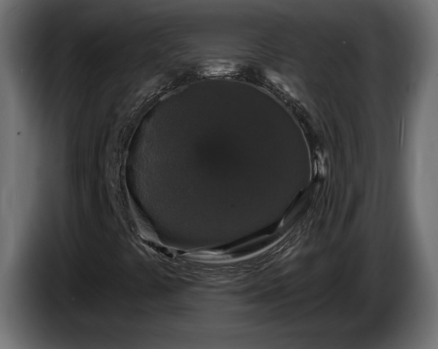 X0000086301441200704131559