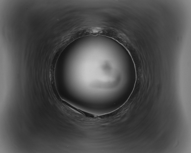 X0000086301442200704131559