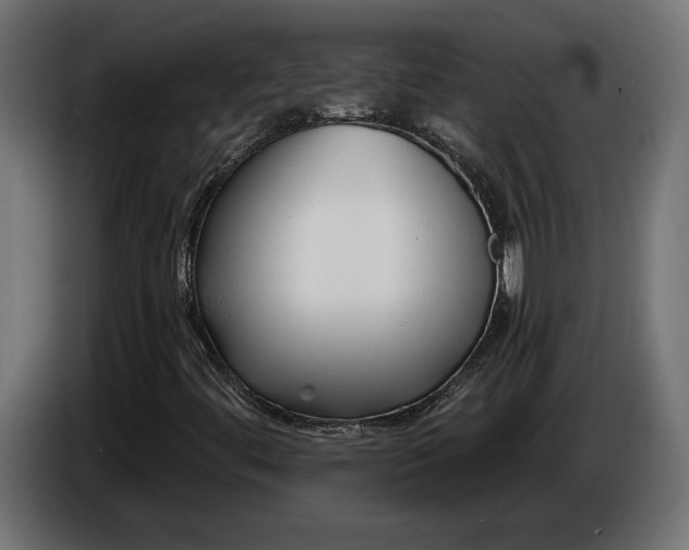 X0000086301444200704131559