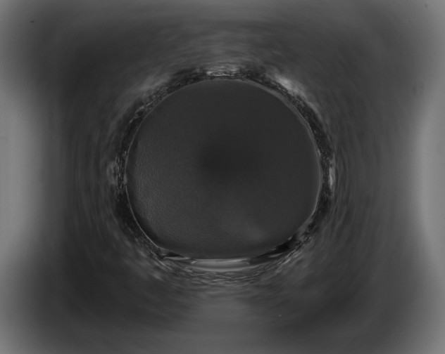 X0000086301445200704131559