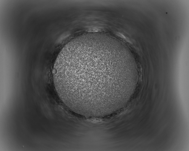 X0000086301446200704131559