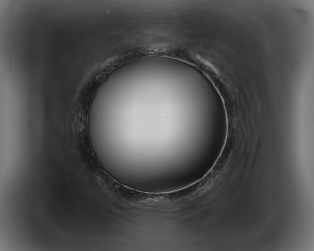 X0000086301447200704131559