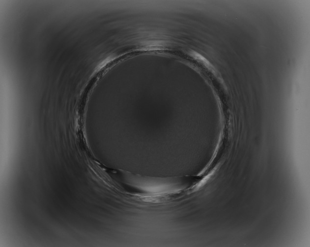 X0000086301449200704131559