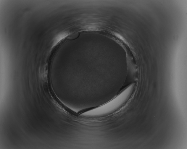 X0000086301450200704131559