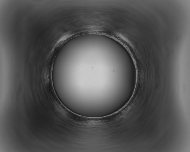 X0000086301451200704131559