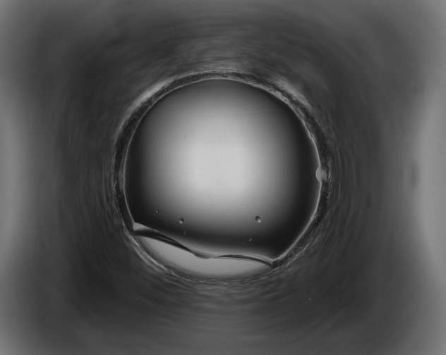 X0000086301452200704131559