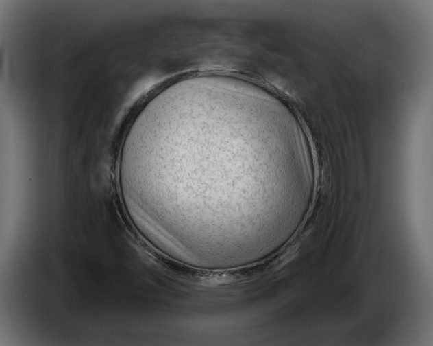 X0000086301454200704131559