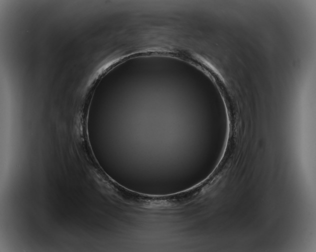 X0000086301455200704131559