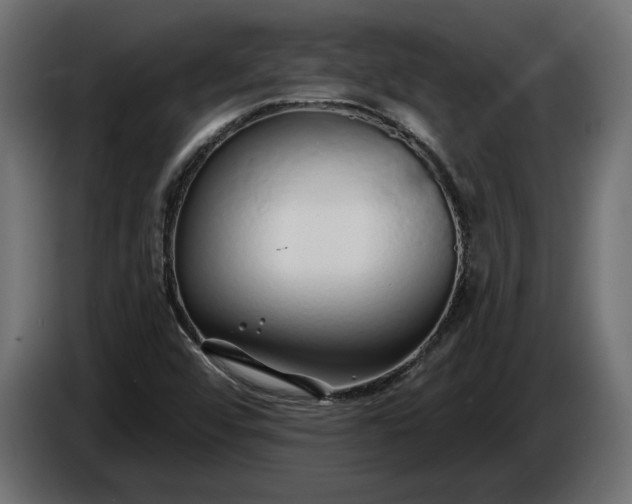 X0000086301456200704131559