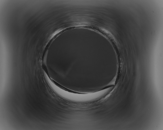 X0000086301457200704131559