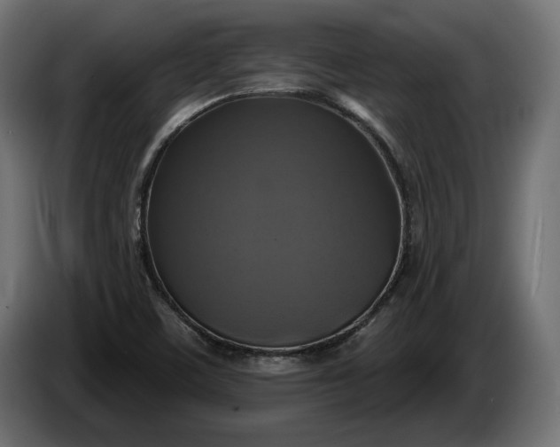 X0000086301459200704131559