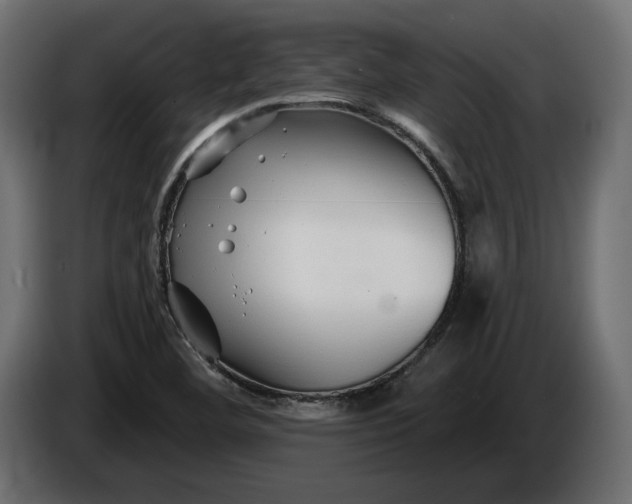 X0000086301460200704131559