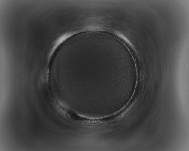 X0000086301461200704131559