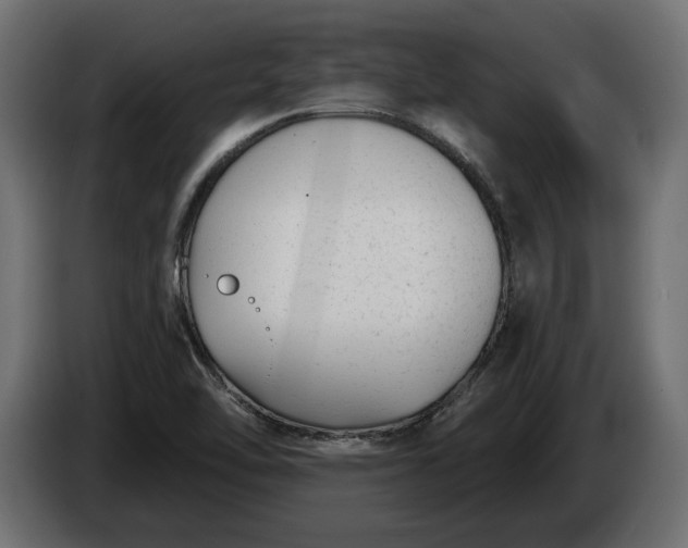 X0000086301462200704131559