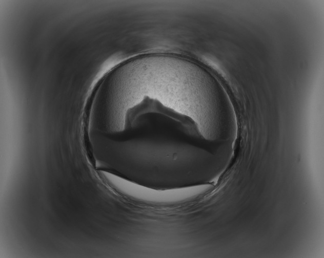 X0000086301463200704131559