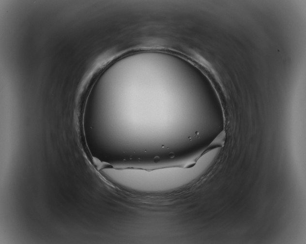 X0000086301464200704131559