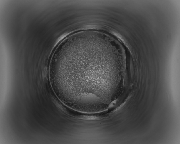 X0000086301465200704131559