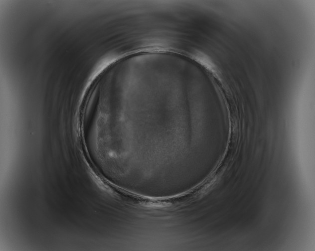 X0000086301466200704131559