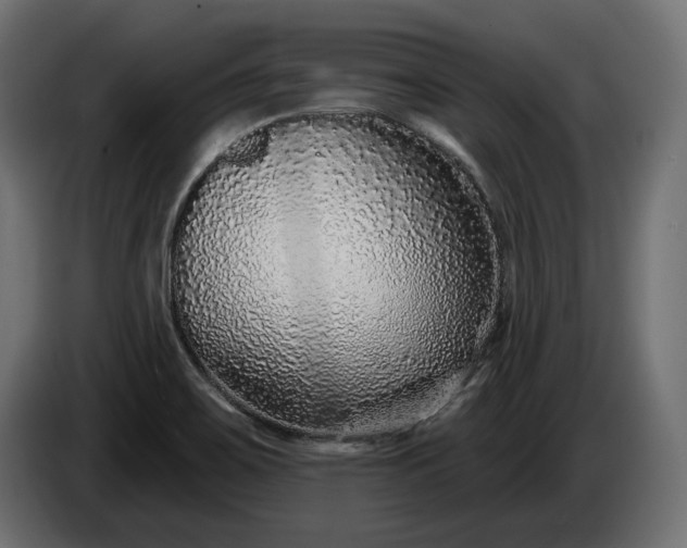 X0000086301467200704131559