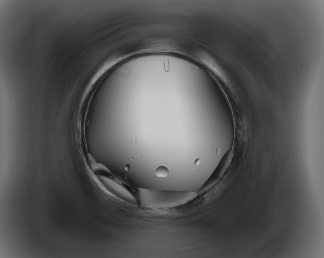 X0000086301468200704131559