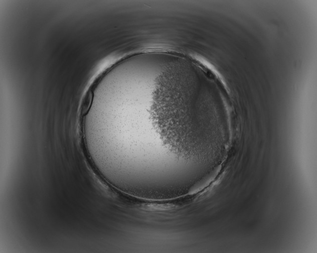 X0000086301469200704131559