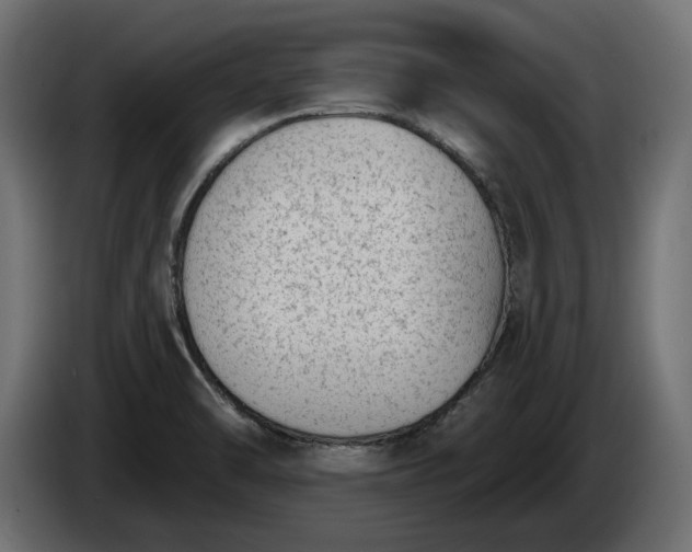 X0000086301470200704131559