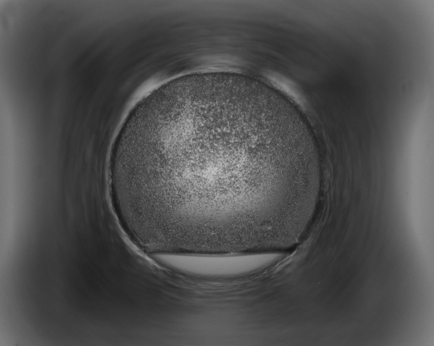 X0000086301471200704131559