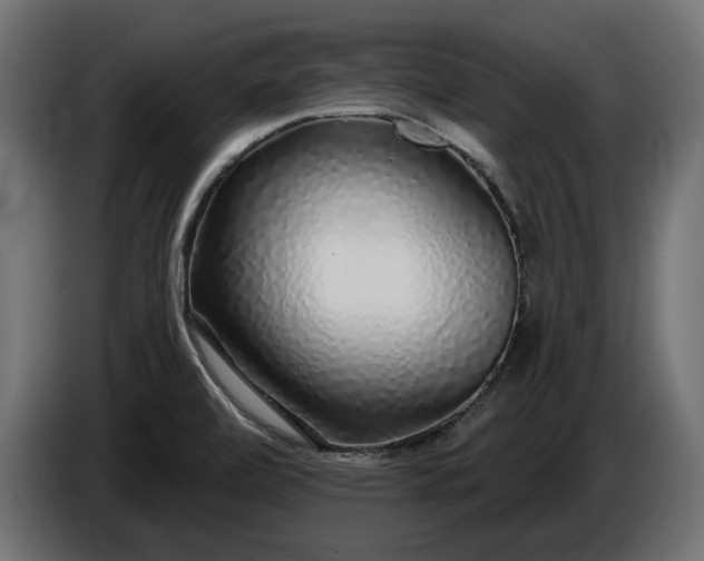 X0000086301472200704131559