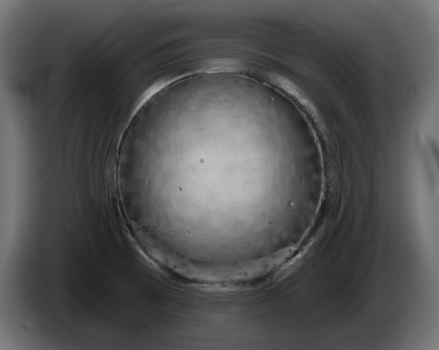 X0000086301473200704131559