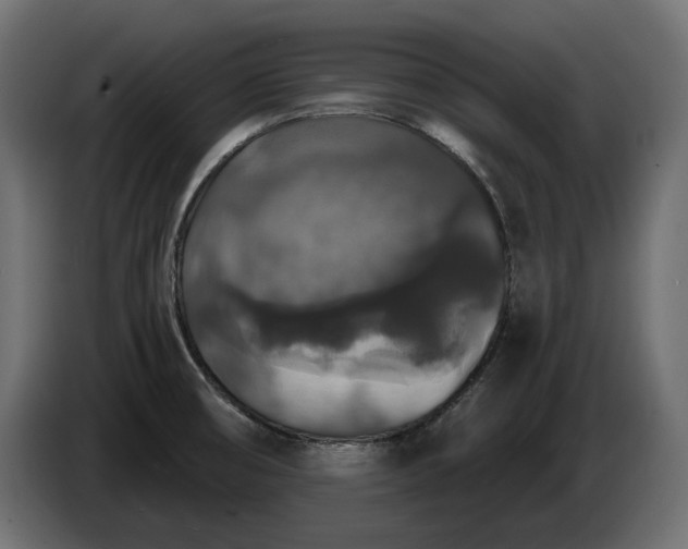 X0000086301474200704131559