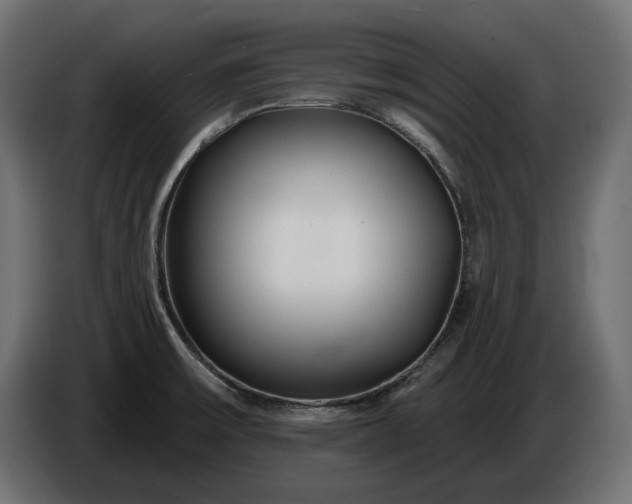 X0000086301475200704131559