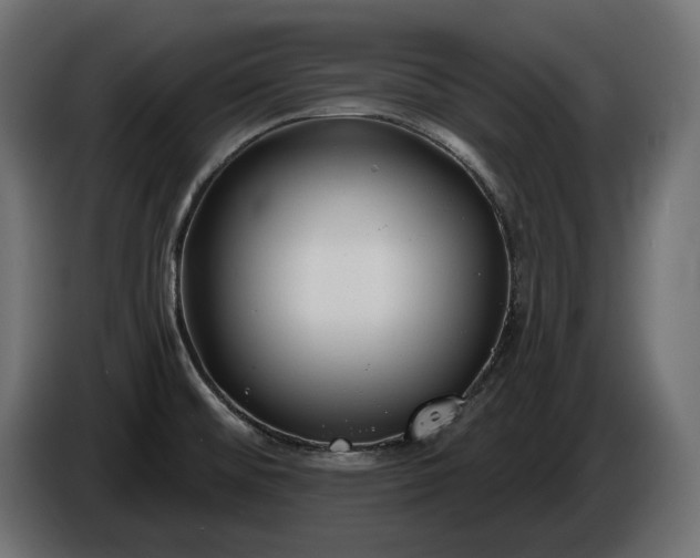 X0000086301476200704131559