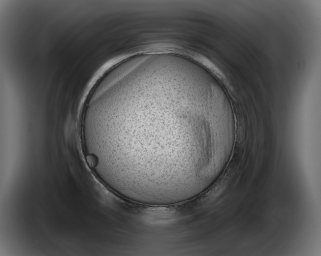 X0000086301478200704131559