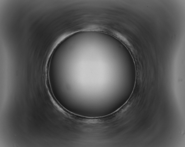 X0000086301479200704131559