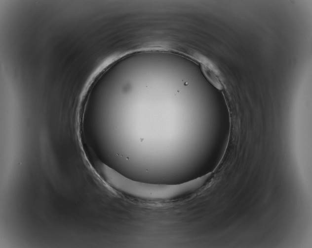 X0000086301480200704131559