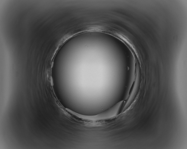 X0000086301481200704131559