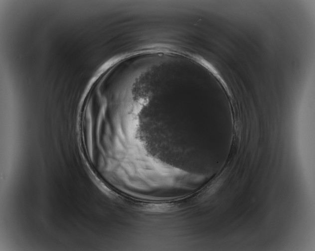 X0000086301482200704131559