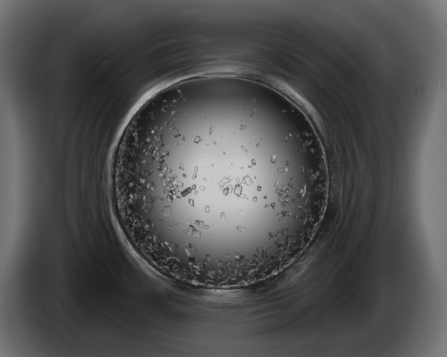 X0000086301483200704131559