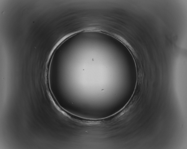 X0000086301484200704131559