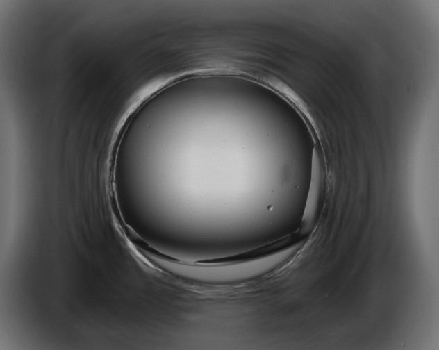 X0000086301485200704131559